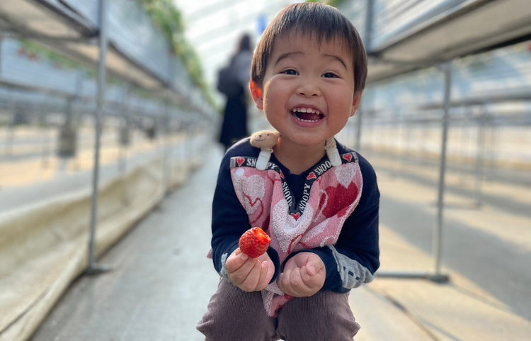 いちご（紅ほっぺ）