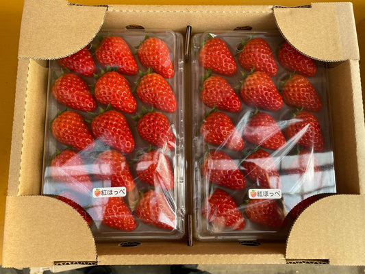 いちご（紅ほっぺ）